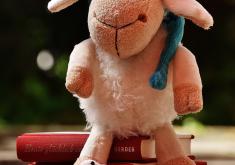 Stuffed sheep on a stack of books
